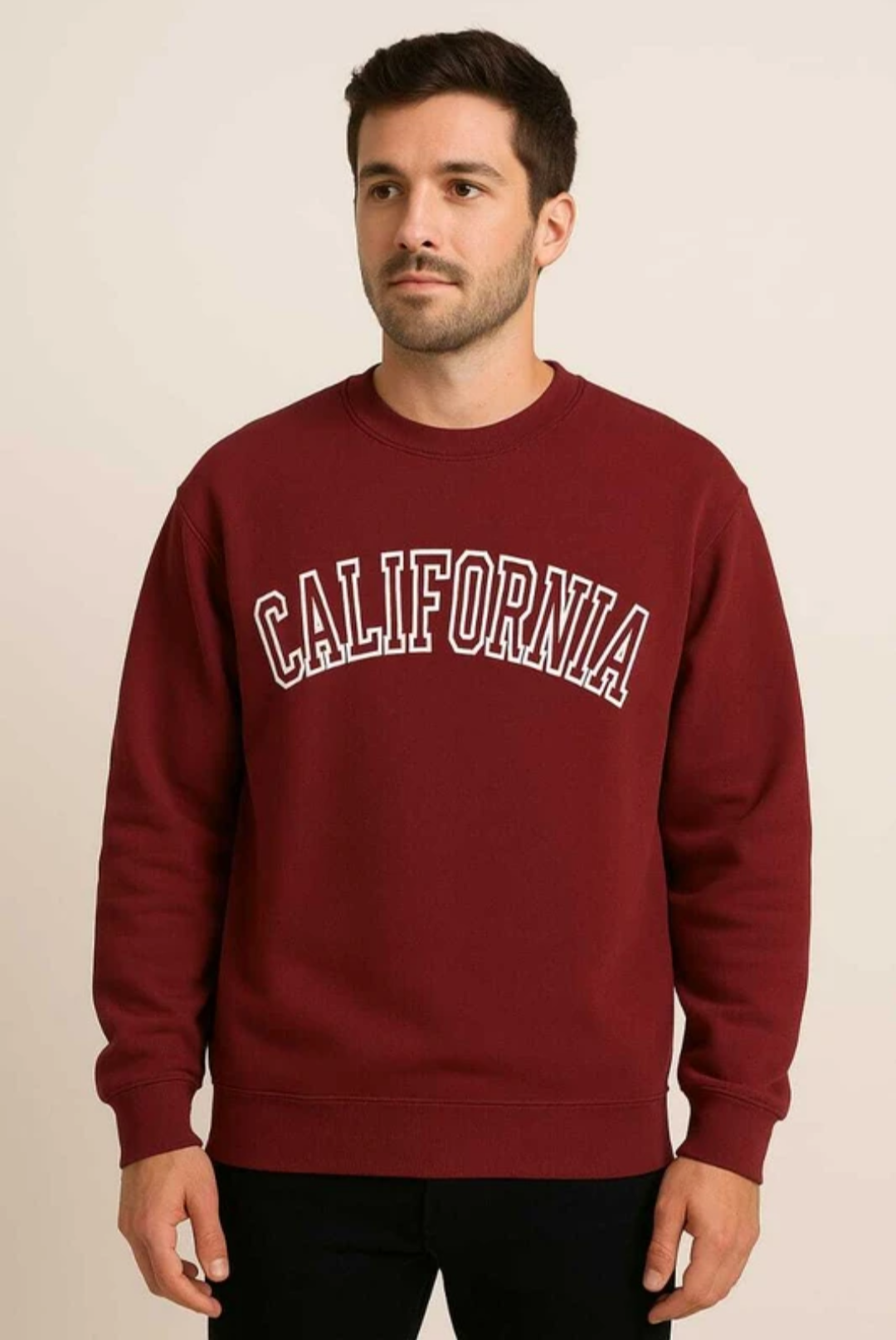 Full Sleeve Men Sweatshirt